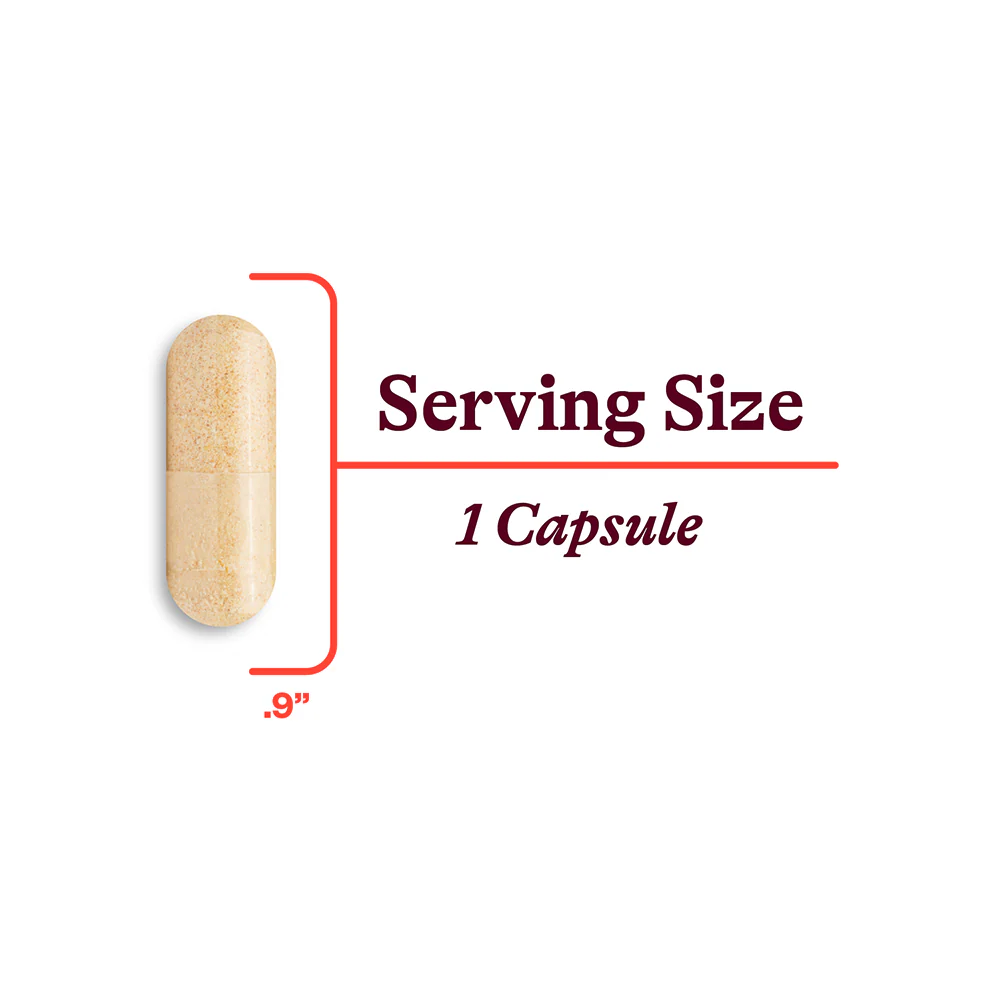 B Complex Plus | 100 v Capsules - Image 4